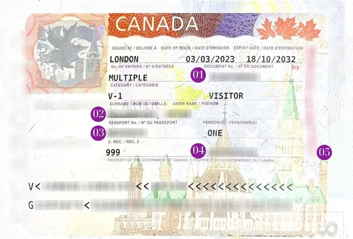 Зразок візи