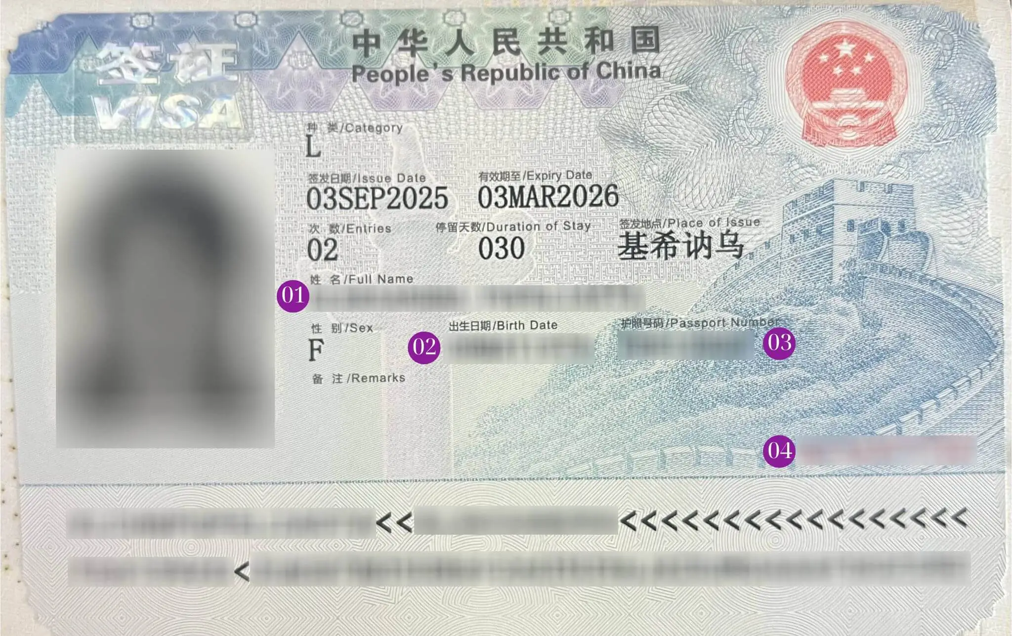 Зразок візи