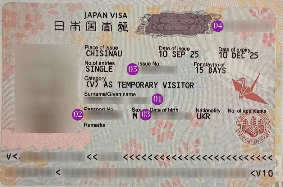 Зразок візи