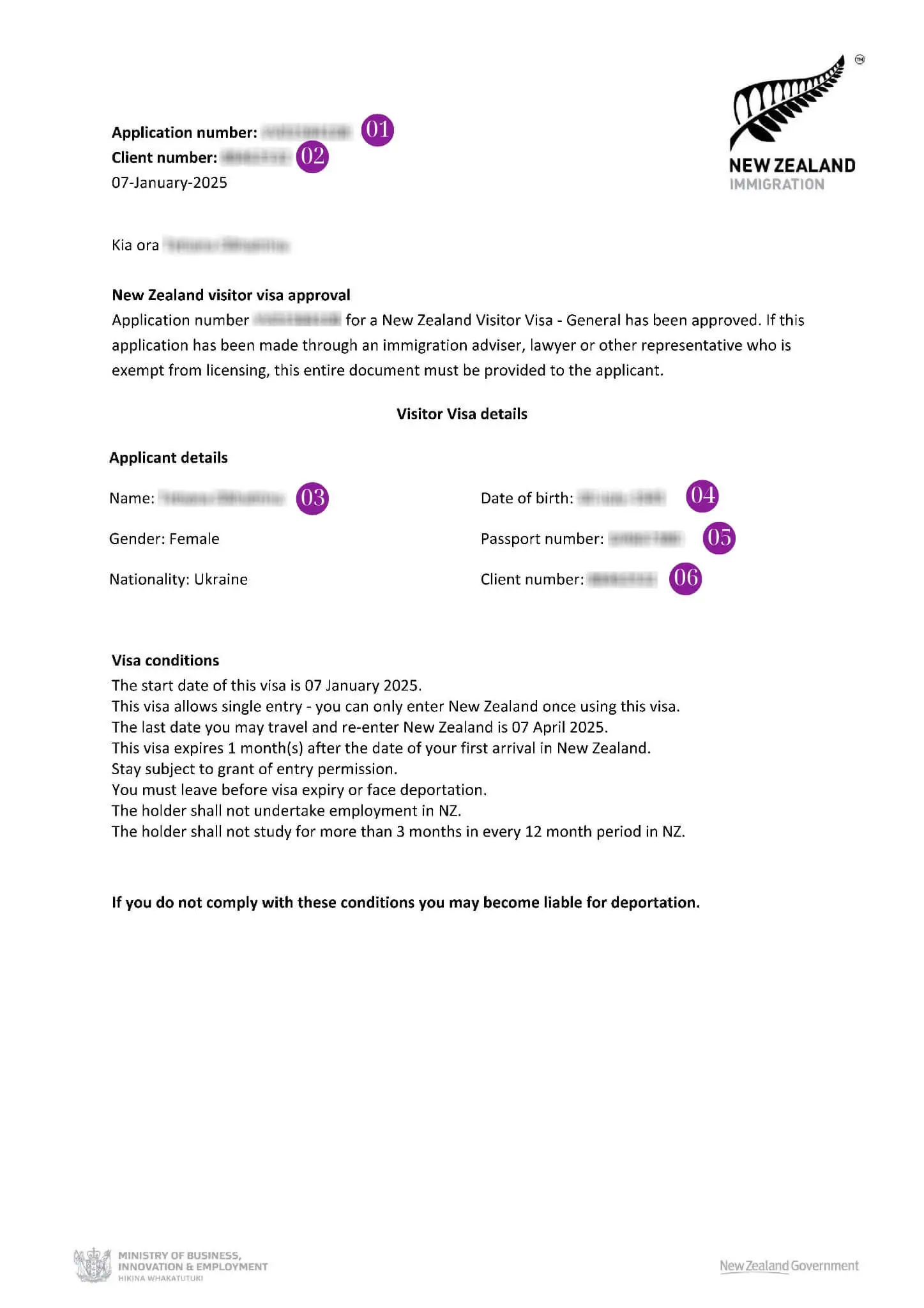 Зразок візи